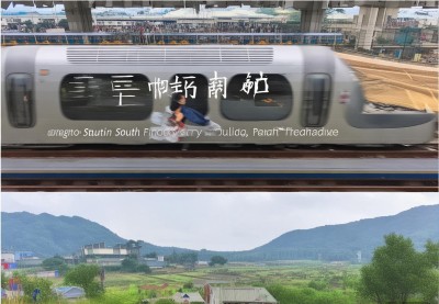 广州出发：顺德美食2日游——8分钟高铁直达，双皮奶鱼生牛杂烧鹅全攻略