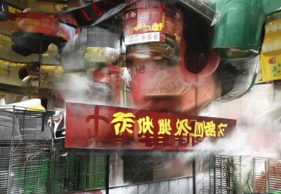 南京周末游攻略｜三天两夜人均500元：鸭血粉丝汤、老门东民宿、科巷菜市场实测，这才是真正的南京周末游
