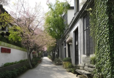 青岛旅游攻略：除了栈桥，更要去八大关、信号山公园、小麦岛公园这5个宝藏地