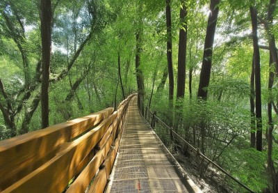 全国10个城市百元以内青旅汇总：背包客必备的性价比住宿与青年旅舍推荐攻略