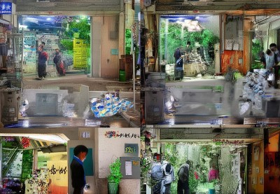 丽江3天自由行路线攻略：含玉龙雪山抢票、蓝月谷隐藏机位及茶马古道骑马小众体验