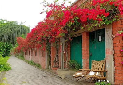 厦门除了鼓浪屿这3个地方更值得去！厦门攻略：华新路、沙坡尾、海湾公园，本地人私藏的慢生活秘地