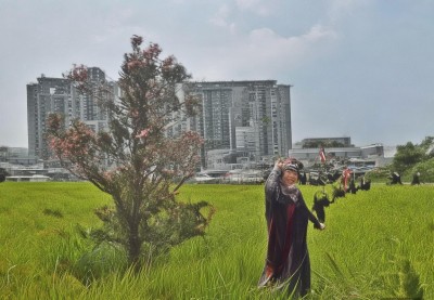 南京住哪？新街口/夫子庙/玄武湖周边实测对比——南京住宿攻略：新街口、夫子庙、玄武湖选错一个，整个旅行都要翻车