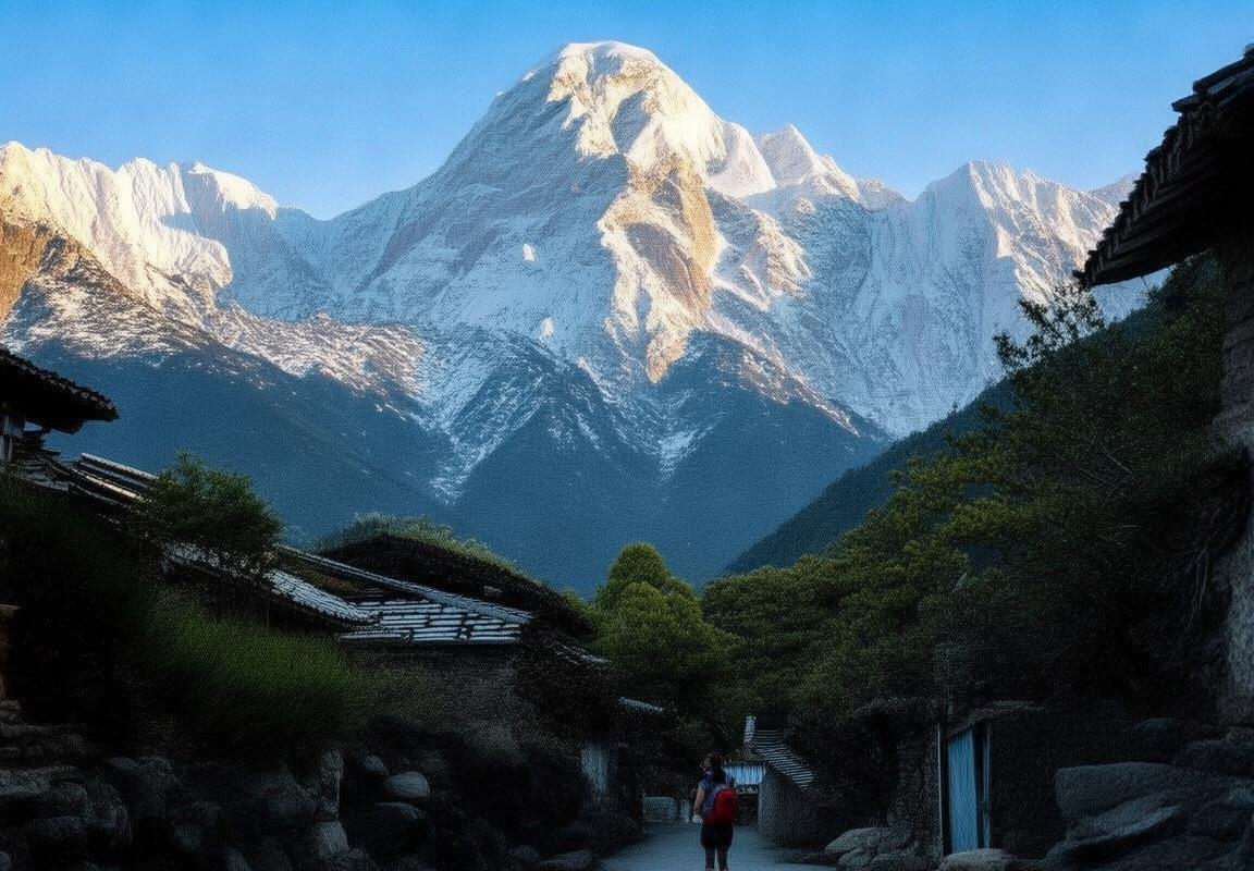 丽江60元青旅-丽江60元青旅-青旅生存法则