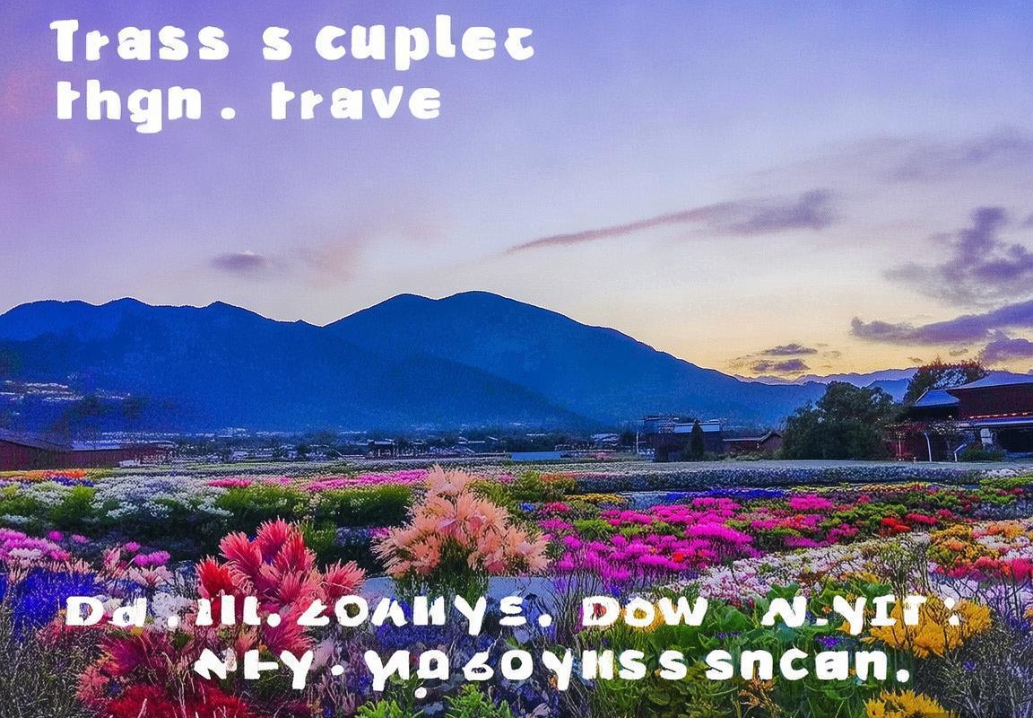 喜洲-寂照庵-寂照庵