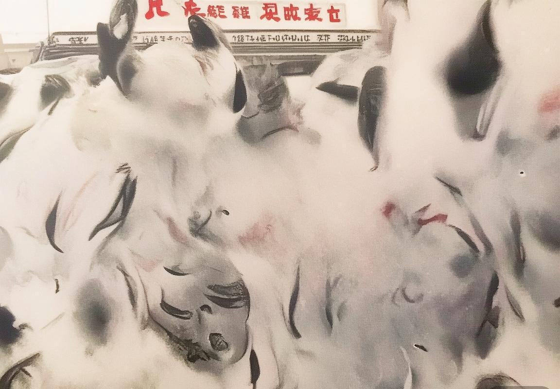背包客生存指南-背包客生存指南-我住过最差的一家XX青旅