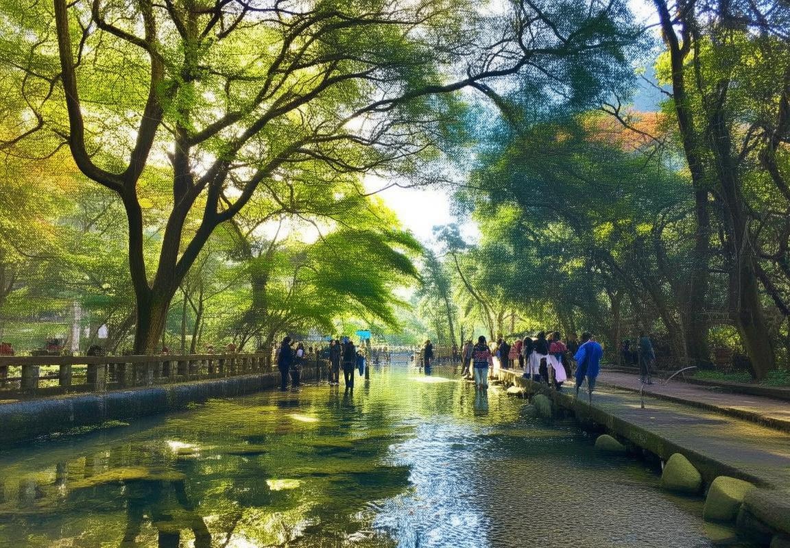 上海到杭州高铁-上海到杭州高铁-龙井村